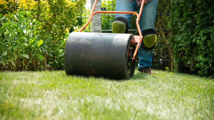 Landscaping and installation of lawn grass, sod and stripes