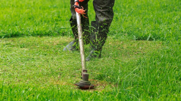 Gardener cutting green grass using lawn mower outdoors People working in the backyard