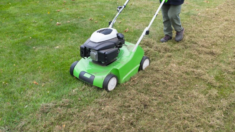 Removing scarifiers from lawn in backyard Person use dethatch scarifier