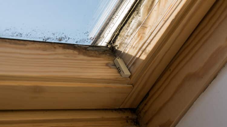 On roof windows mildew forms by inadequate ventilation