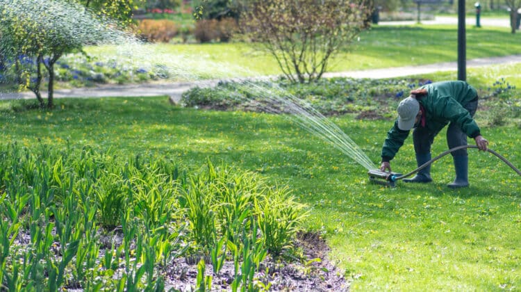 Girl with an automatic irrigation system equipment garden watering tool