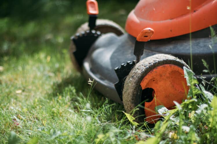 A Guide to Choosing the Right Self-Propelled Lawn Mower