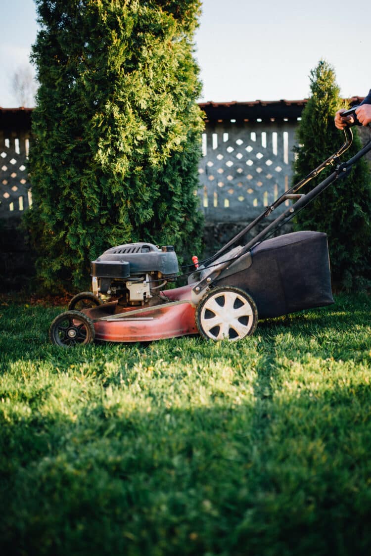 How to Get Manuals for an Old Lawn Mower Model