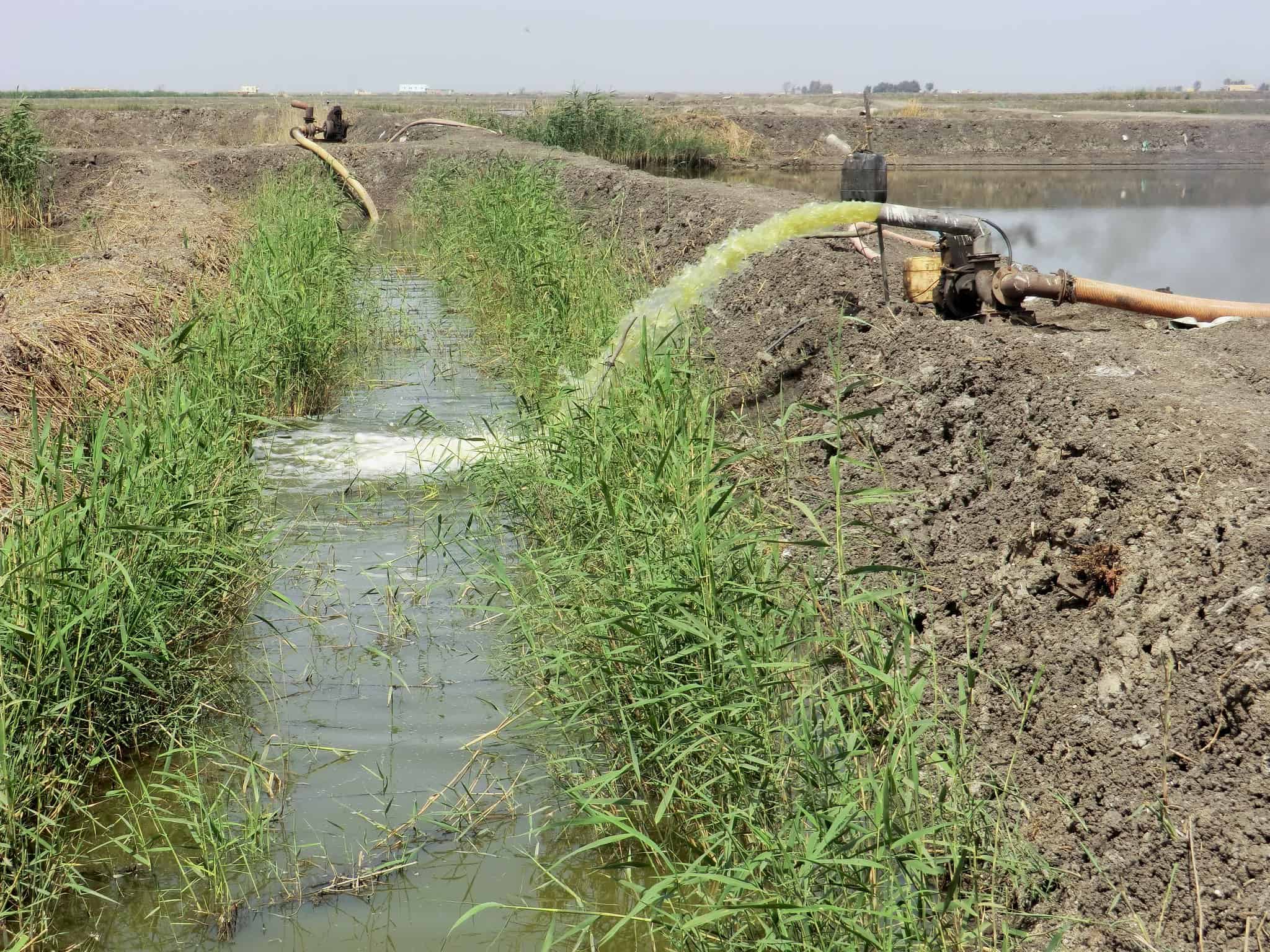 Choosing the Best Water Pump Kyle's Garage