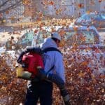 A Guide to Choosing the Perfect Cordless Leaf Blower