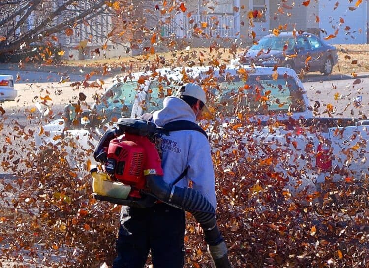 A Guide to Choosing the Perfect Cordless Leaf Blower