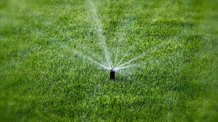 Sprinkler for watering lawn and green grass Water system for gardening