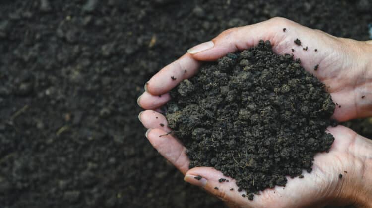 Closeup hand of person holding abundance soil for agriculture 