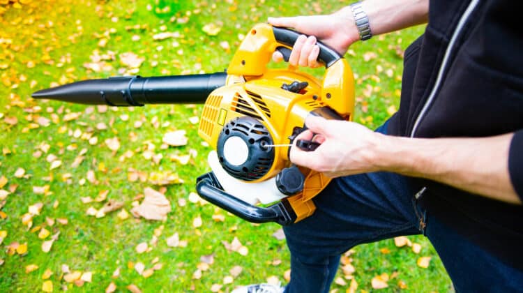 Using a cordless leaf blower in a garden