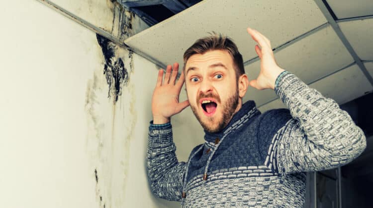 Bearded man in shock from the black mold on the wall and ceiling