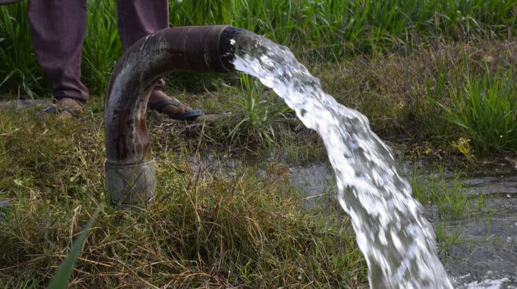 farmers feet irrigated in wheat fields by water jet technical irrigation