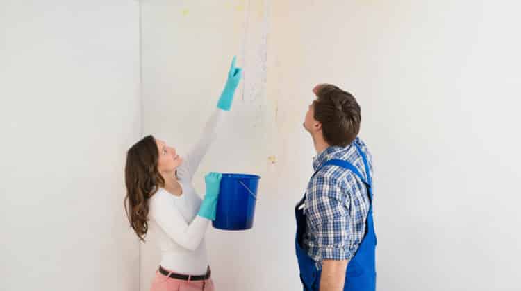 Woman Showing Water Leaking From Ceiling To Maintenance Guy
