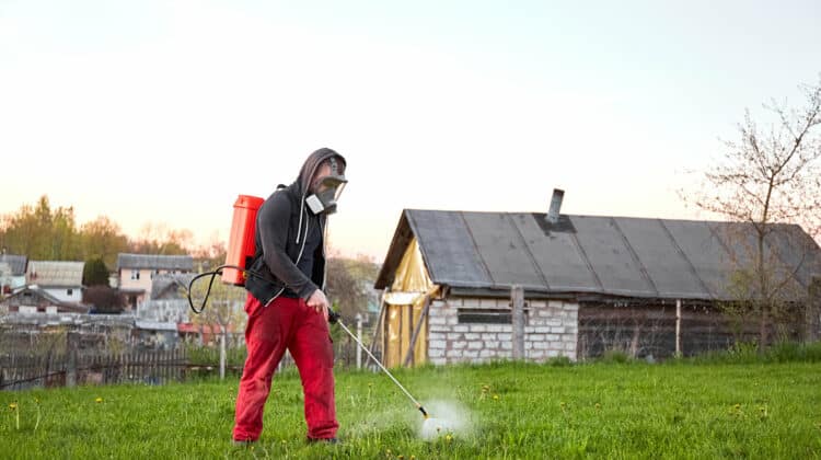 Farmers spraying pesticide on lawn field wearing protective clothing