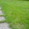 Buyer’s Guide To Zero Turn Lawn Mowers