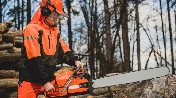 A chainsaw operator is preparing to cut a tree trunk holding a big orange chainsaw