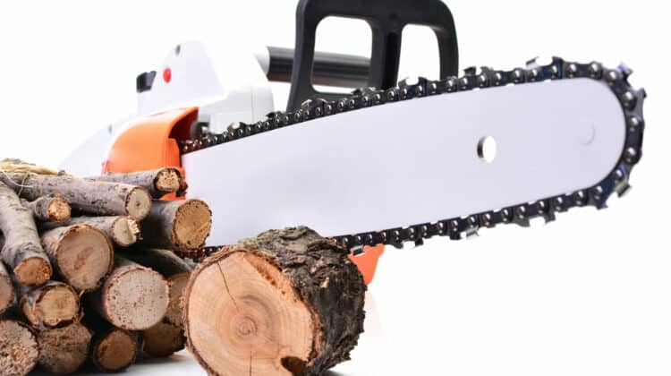 Chainsaw with sawn tree on a white background