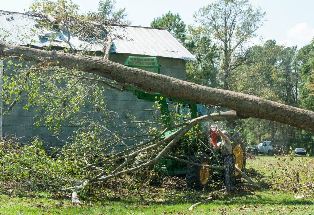 How to Cut down a Tall Tree by yourself with a Chainsaw Kyle's Garage
