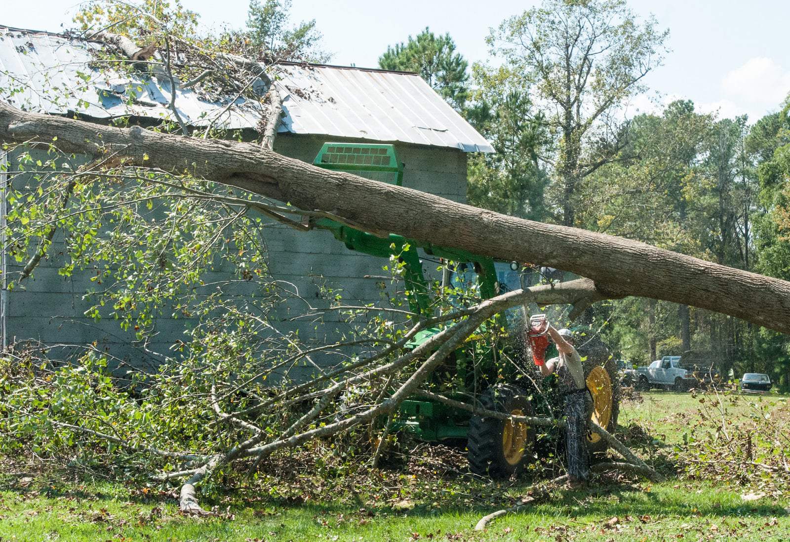 How to Cut down a Tall Tree by yourself with a Chainsaw Kyle's Garage