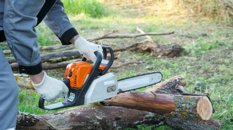 Close-up of sawing a dry log with a chainsaw
