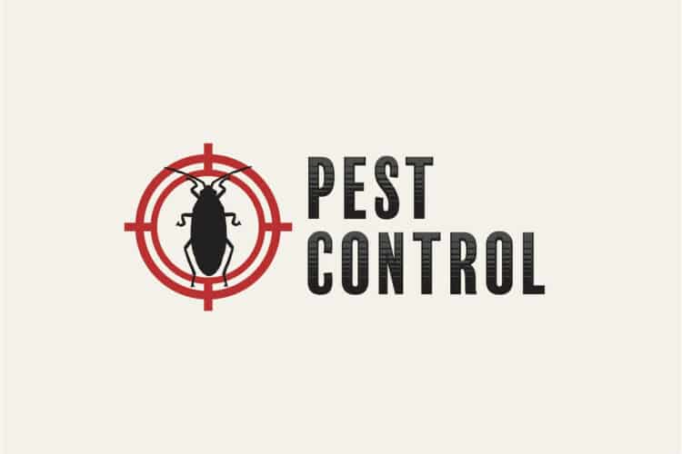 pest control tips