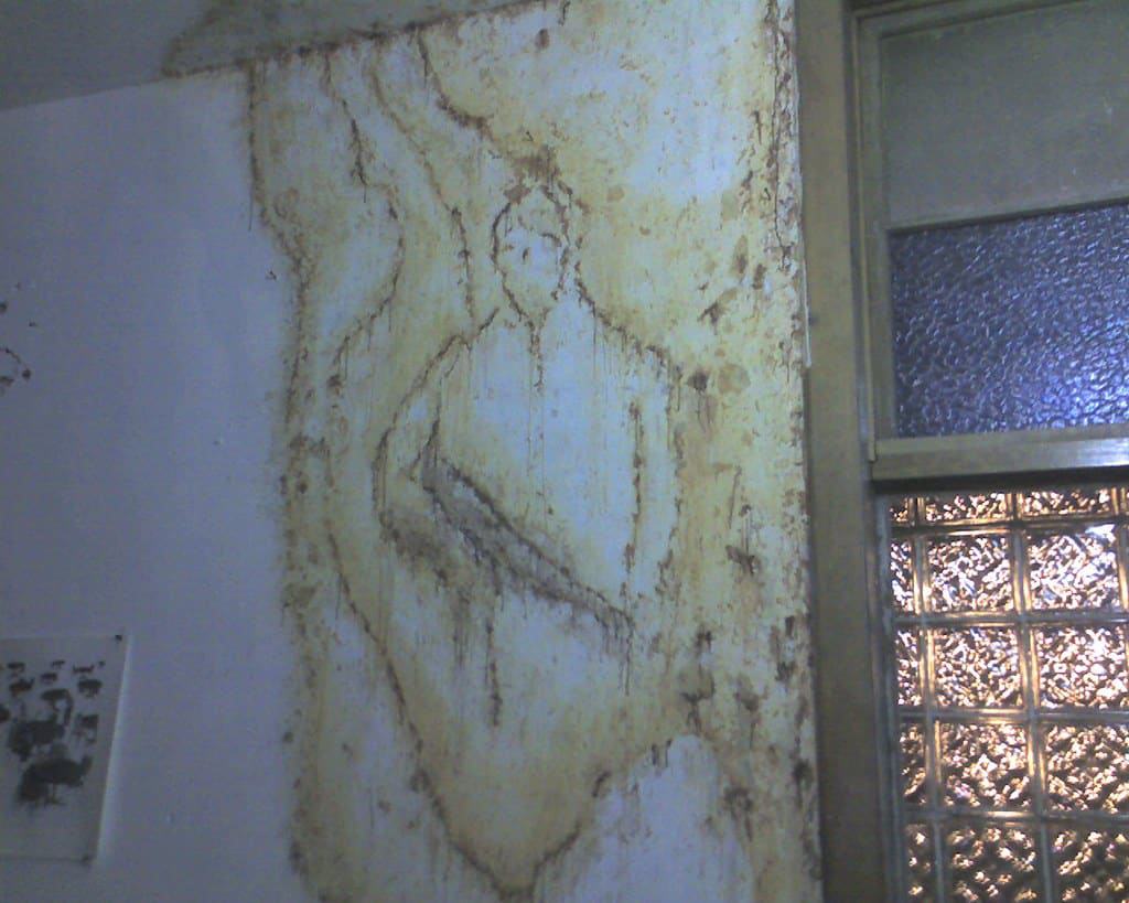 What to do with a Water Stain on the Ceiling Kyle's Garage