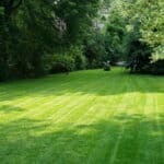 greenkeeper lawn tips
