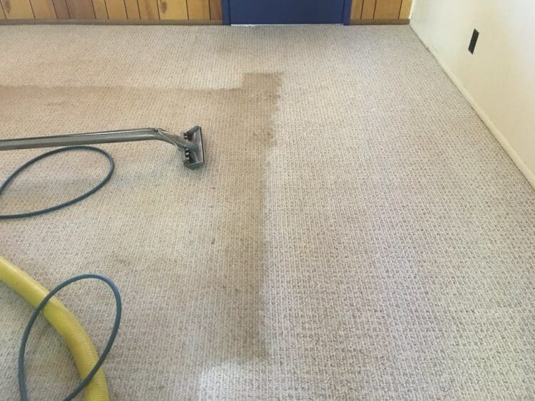 steam cleaner vs carpet cleaner