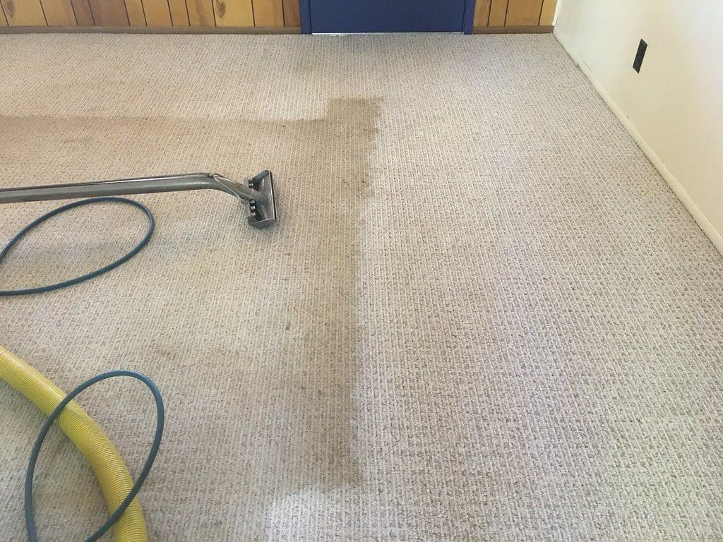 Steam Cleaner vs Carpet Cleaner What’s the Difference? Kyle's Garage