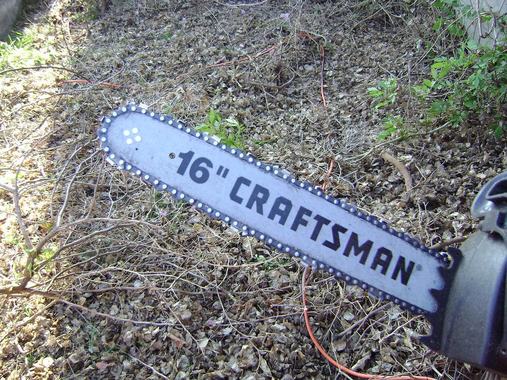 Are Chainsaw Bars Interchangeable? Kyle's Garage