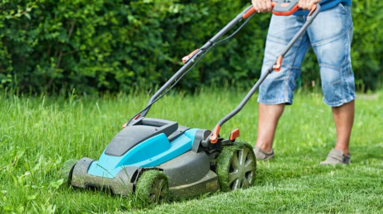Man mowing the lawn with blue lawnmower in summertime