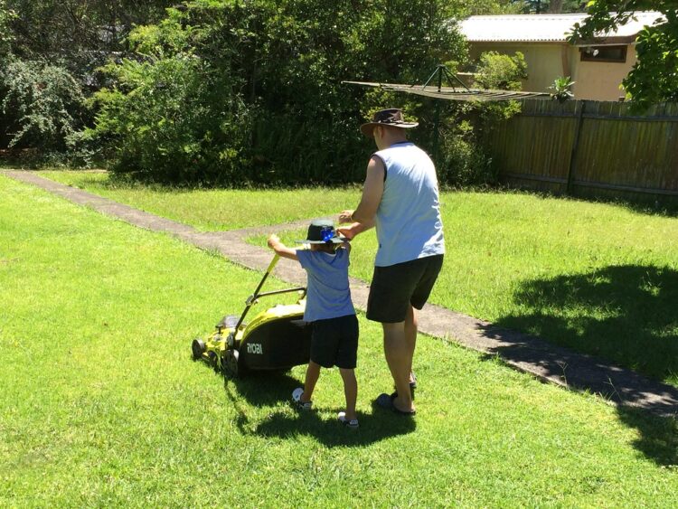 how often should you mow your lawn