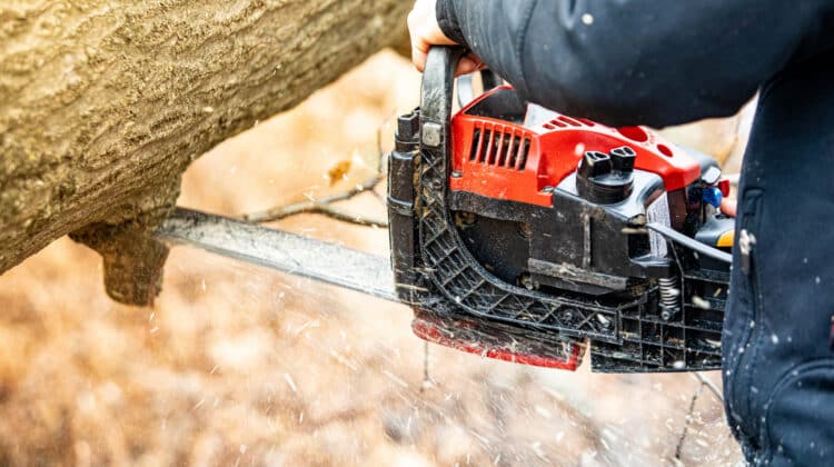 Lumberjack using a Gas Powered Chain Saw cutting trees close up