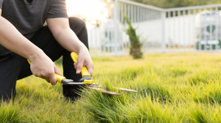 Measurement in cutting high grass