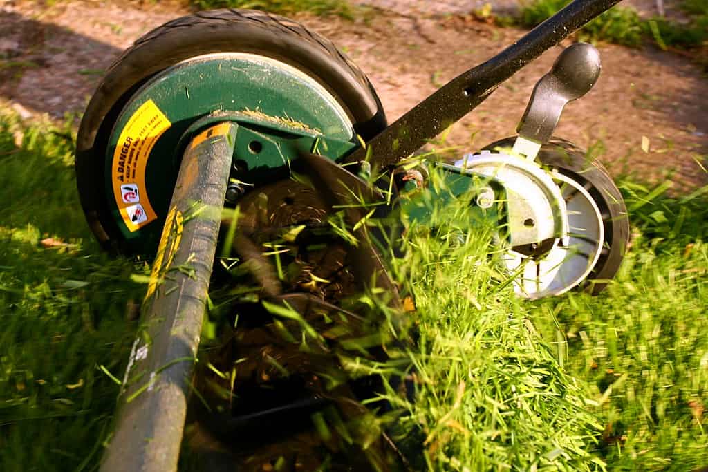 Mulching blades vs regular blades A detailed comparison Kyle's Garage