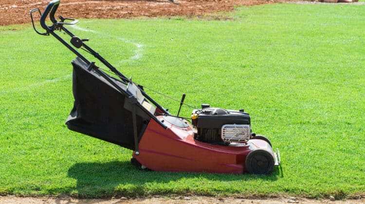 red mower ready to work on green grass lawn under sunlight
