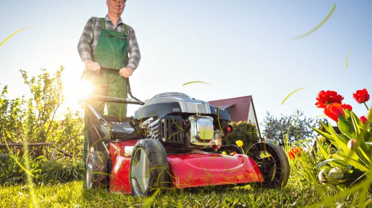 Man with a lawn mower working in his sunny garden