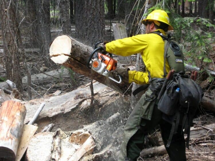 how many decibels is a chainsaw