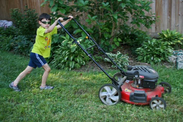 what type of gas for lawn mower