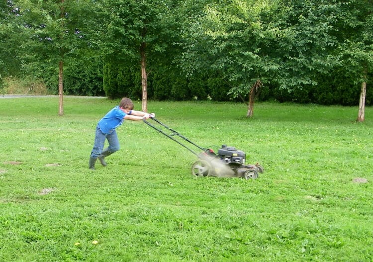 lawnmower smoking