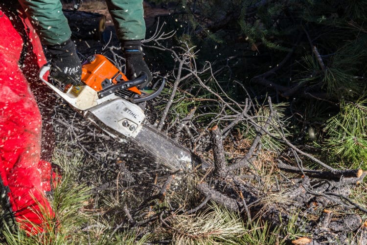 chainsaw not cutting straight