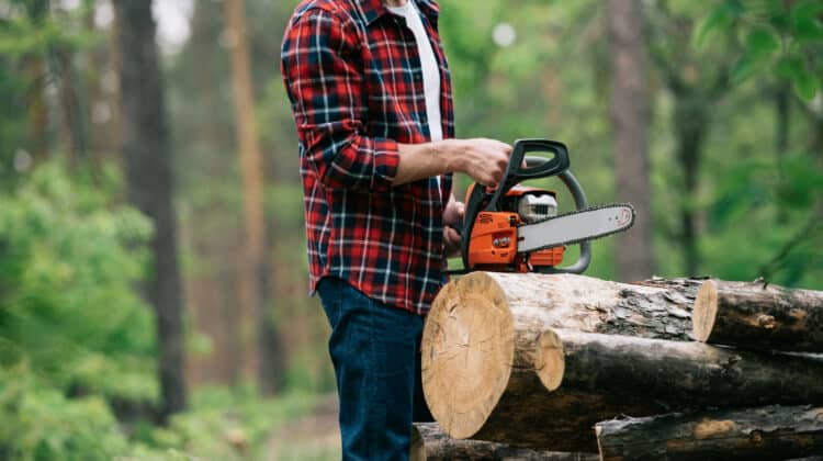 cropped view of lumberjack cutting round timbers with chainsaw in forest