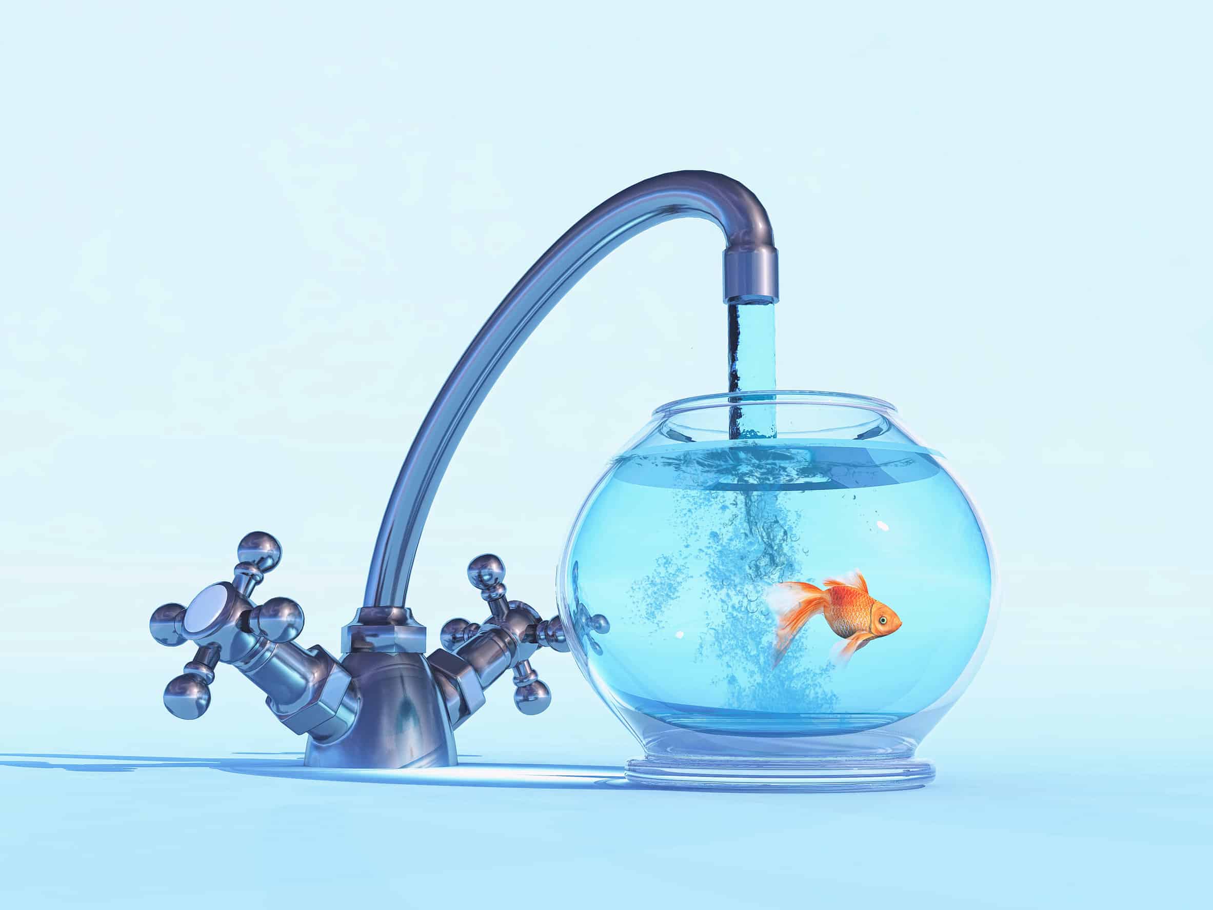 how-to-make-tap-water-safe-for-saltwater-aquarium-and-make-your-fish