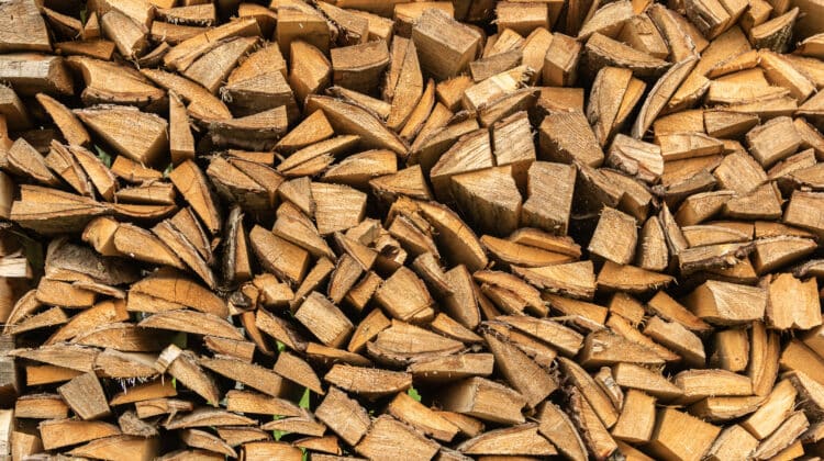 The Woodpile Wood background and Firewood texture