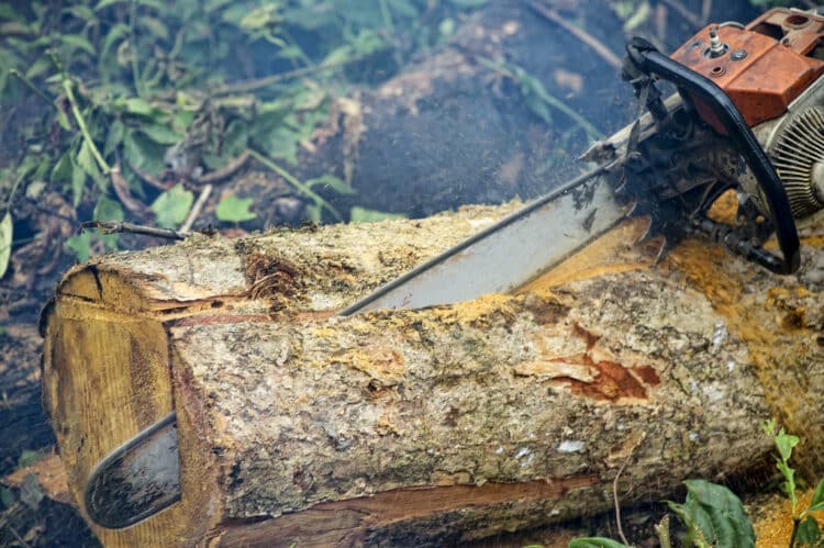 how to cut a log lengthwise with a chainsaw