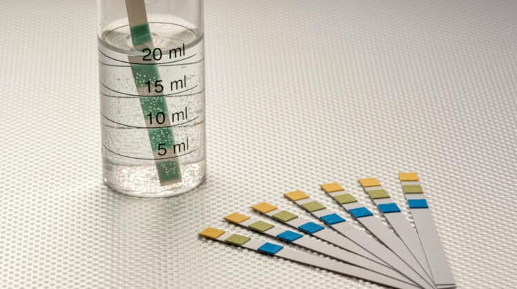 close up of ph analysis strips with a strip inserted in a graduated tube with water
