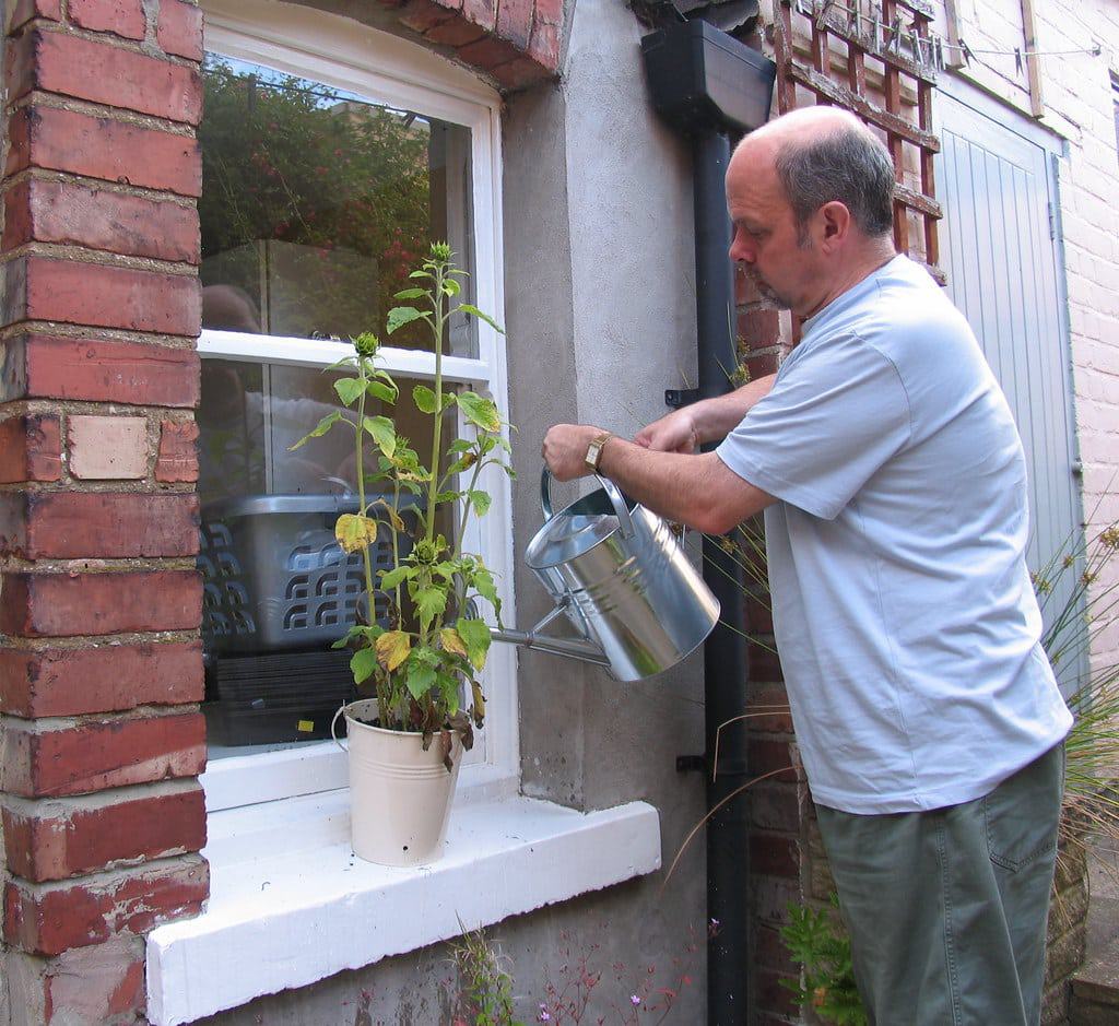 Is soft water bad for plants? Kyle's Garage