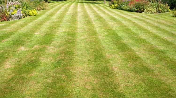 Large striped lawn mower with striped stripes in the summer garden