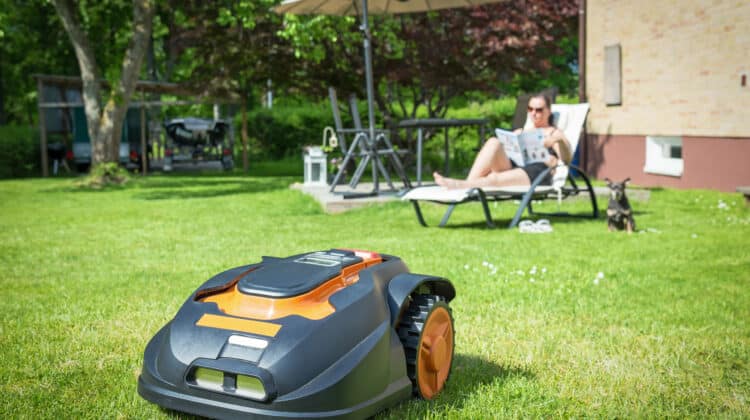 Modern lawnmower in the garden on a summer day