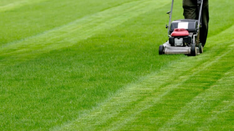 Person cutting grass with mower