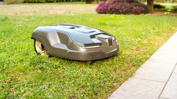 Modern robotic lawn mower cutting green grass in garden yard